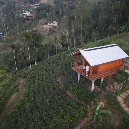 Green Nature Paradise 埃拉 外观 照片
