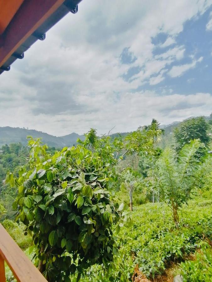 Green Nature Paradise 埃拉 外观 照片