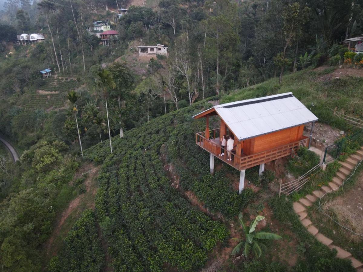 Green Nature Paradise 埃拉 外观 照片