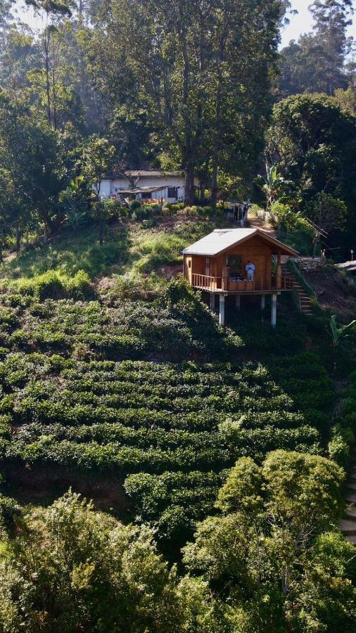 Green Nature Paradise 埃拉 外观 照片